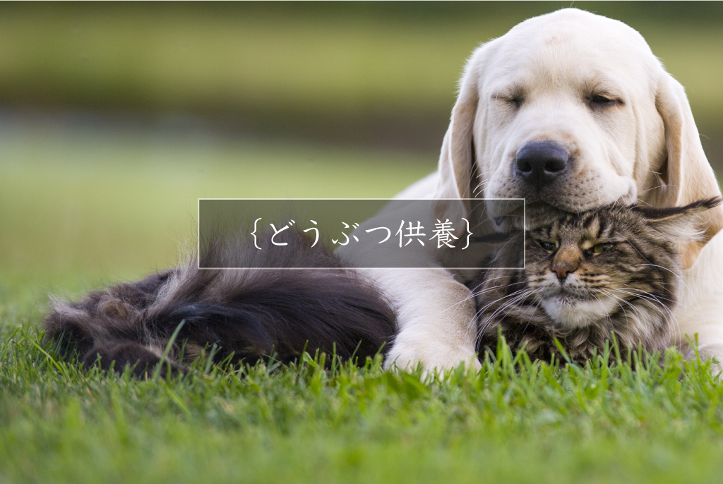どうぶつ供養